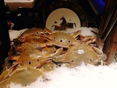 -加餐海鲜自助(宝龙一城店)