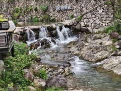 -MOJ coffee(瓯海泽雅水碓坑店)