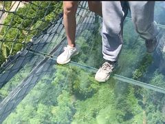 -梦幻奥陶纪景区