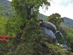 -东海大峡谷