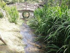 -白水寺森林公园