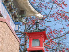 -广州中山纪念堂