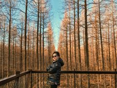 -黄海国家森林公园