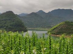 -千岛湖九龙溪漂流