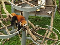 -西霞口神雕山野生动物世界