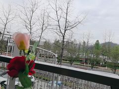 -宝荣鱼馆·临湖之宴(千岛湖店)