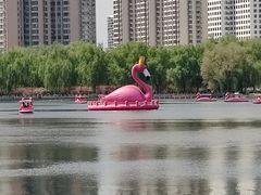 -莲花池公园
