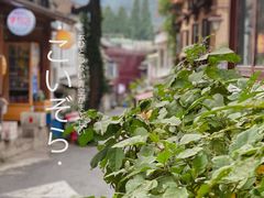 -杭州西湖风景名胜区-满觉陇四眼井