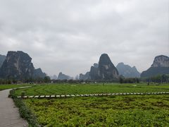 -明仕田园