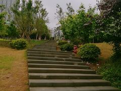 -沐仙湖湿地公园