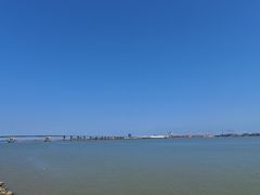 -大湾区中央湿地公园