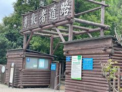 -上海滨江森林公园