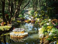 -上海共青森林公园