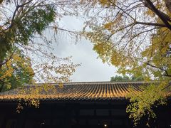-成都杜甫草堂博物馆