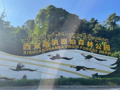 -西双版纳原始森林公园