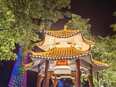 -海心沙亚运公园