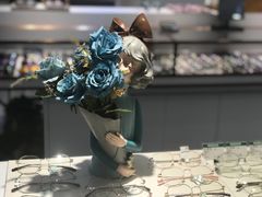 -宏宇眼镜蔡司依视路折扣店(兆佳眼镜城店)