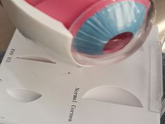 -武汉大学附属爱尔眼科医院(湖北总院)