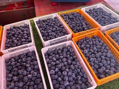 -南坛综合农贸市场