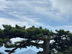 -罗田薄刀峰风景区