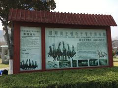 -洛阳周王城天子驾六博物馆