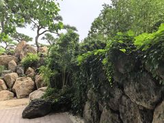 -罗红摄影艺术馆