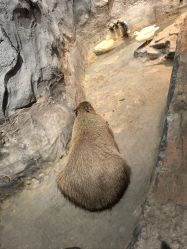 -Zoolung Zoolung动物主题公园(海信广场店)