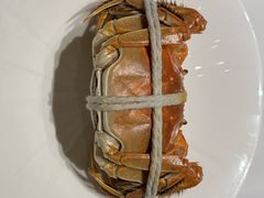 -新光酒家·河豚·海鲜·蟹料理(浦东店)