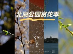 -北海公园