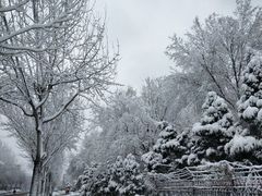 -邵汇大虾(泉园一路店)