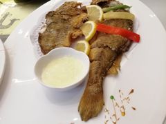 -骏莱海鲜鱼港(五角场店)