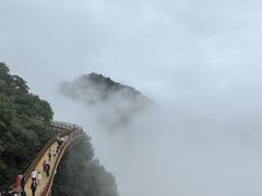 -少华山国家森林公园