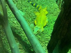 -海合安武汉极地海洋公园