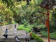 -黄埔油麻山森林公园