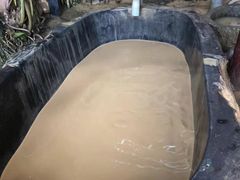 -100蛋泥浆浴