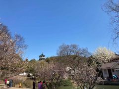 -无锡梅园公园