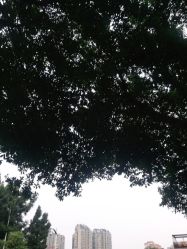 -韩美绣野生眉纹眉洗眉连锁店