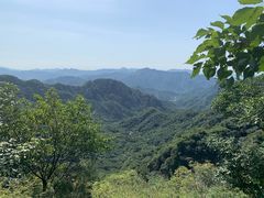 -大岭沟猕猴桃谷风景区