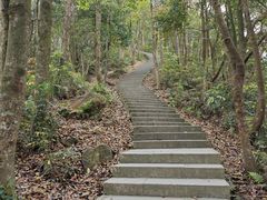 -梧桐山风景名胜区