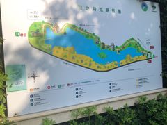 -华侨城湿地公园