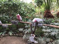 -南宫五洲植物乐园