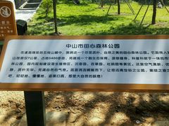 -田心森林公园