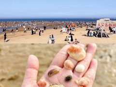 -巧克力渔家.小船海鲜家常菜(万平口店)