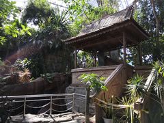 -北京植物园-展览温室