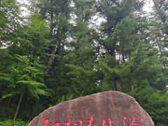 -五营国家森林公园