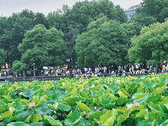 -西湖天地