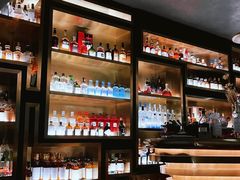 -Hi City·城市之巅