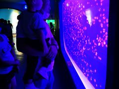 -多彩贵州城极地海洋世界