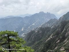-黄牛肉馆·皖南土菜