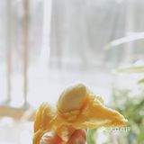 老夫的少女心也就自然而然显现了 我大学的gay朋友